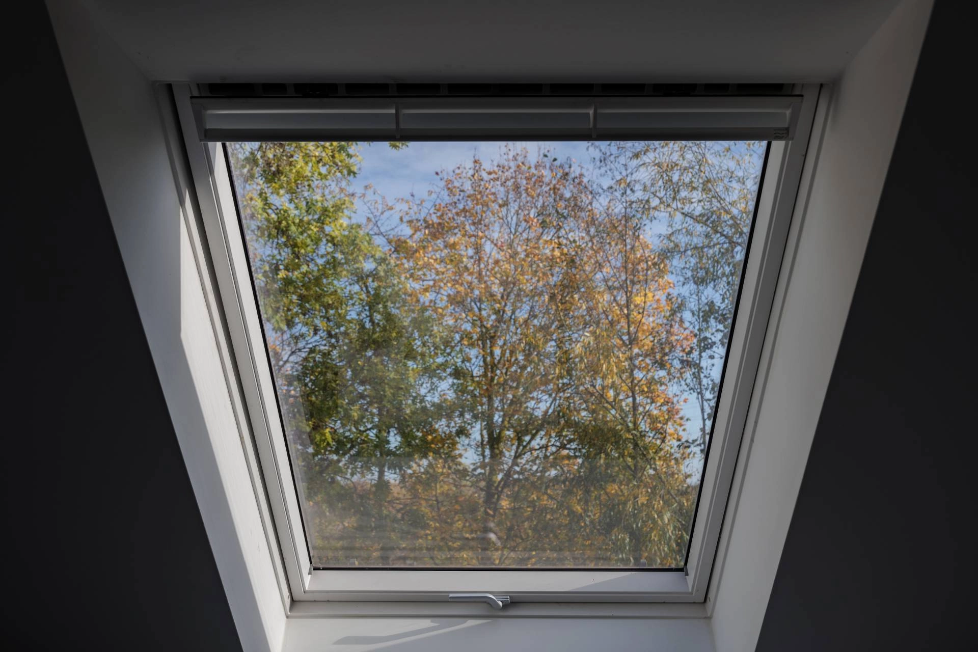 A modern skylight in a home with a view of the treetops and sky near Santa Rosa, CA
