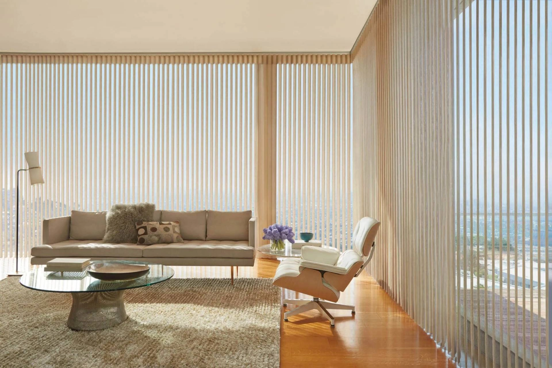 Hunter Douglas Luminette® Sheer Shades in a living room near Sacramento, CA