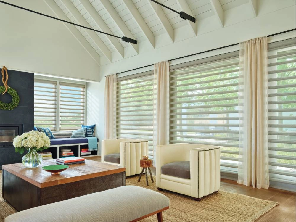 Large sheer window shadings