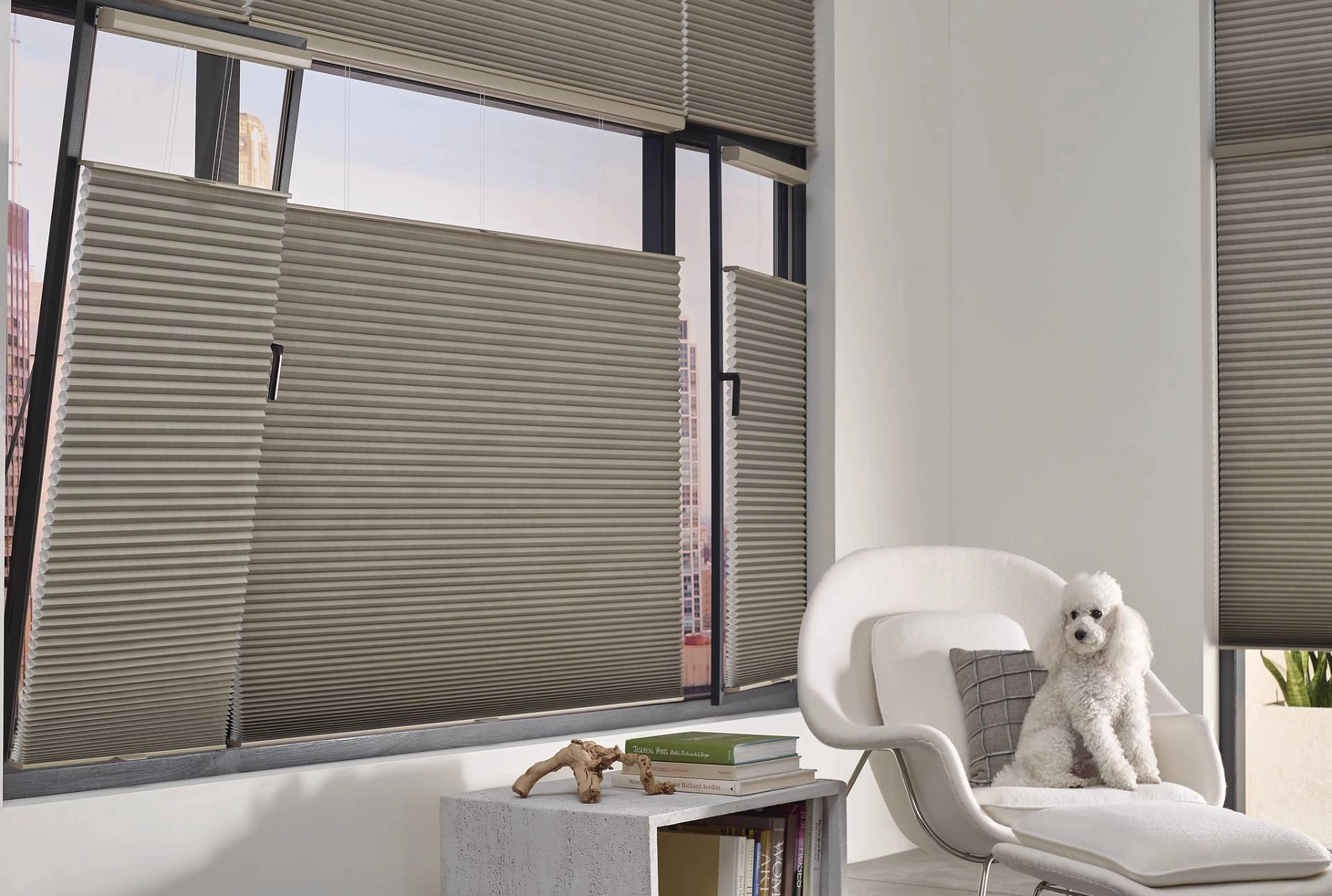 photo: 10024187-banner-enjoy-peaceful-interiors-with-sound-absorbing-shades.jpg