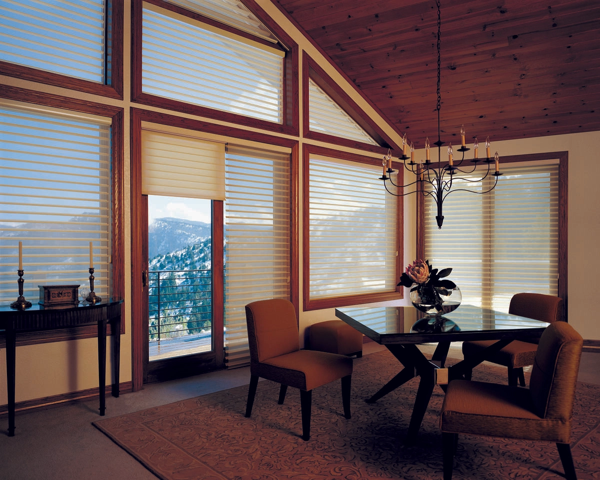 photo: 10040350-banner-the-beauty-of-motorized-window-treatments.jpg