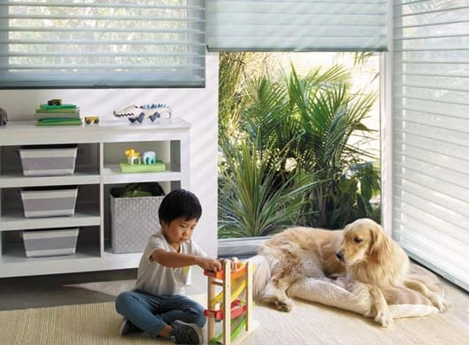 Motorized Shades for Child and Pet Safety