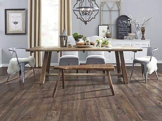Hunter Douglas Dealer Image