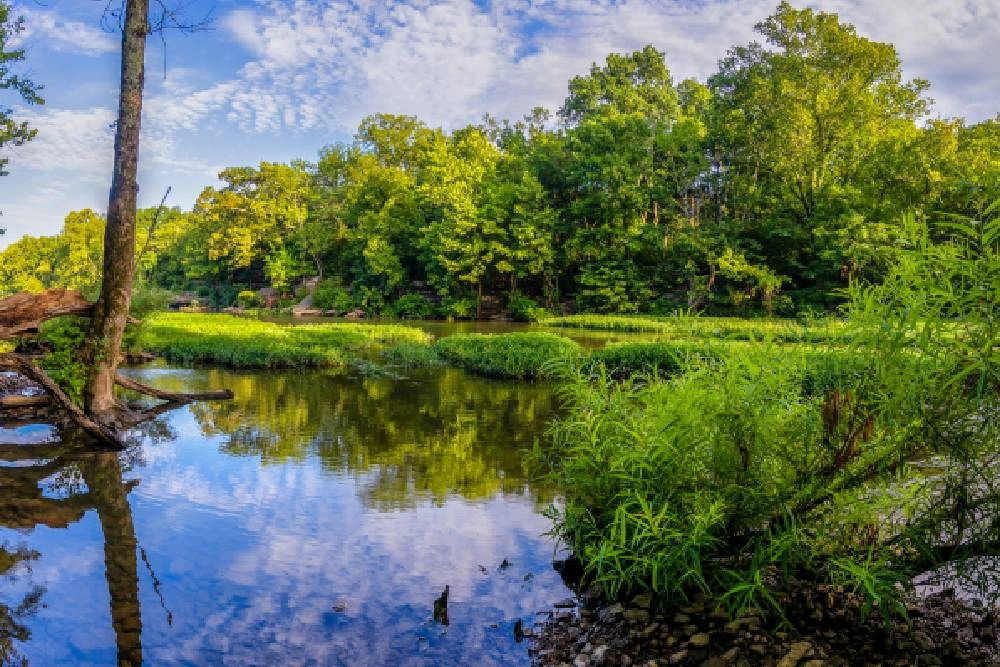 photo: 10041078-site-images-murfreesboro-tn.jpg