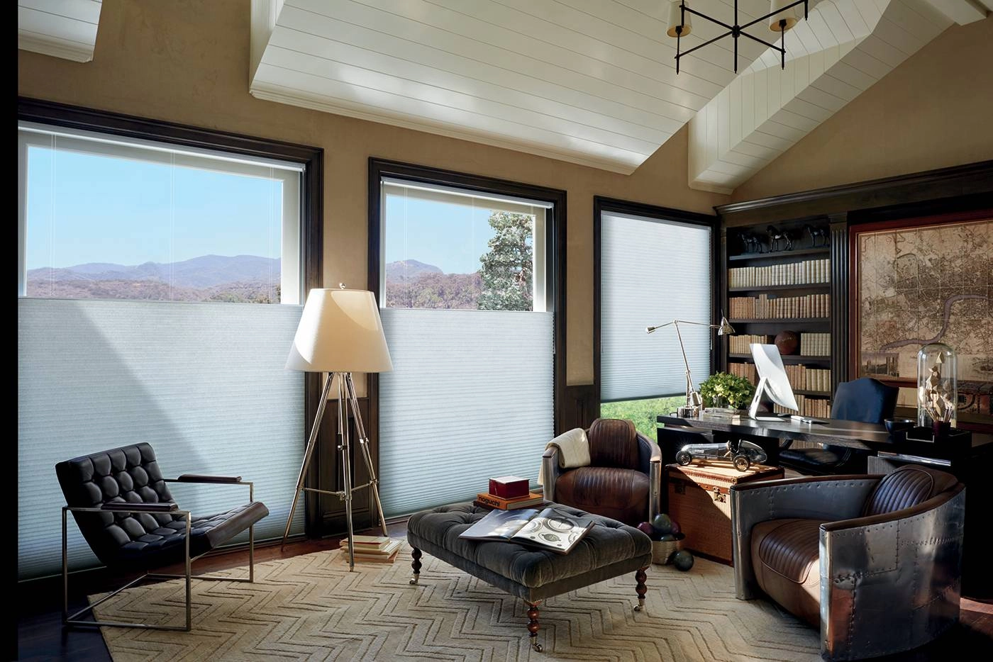 photo: 10041615-banner-elevate-your-home-office-with-hunter-douglas-window-shades.jpg