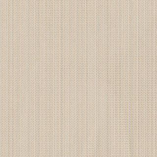 Sand Shimmer