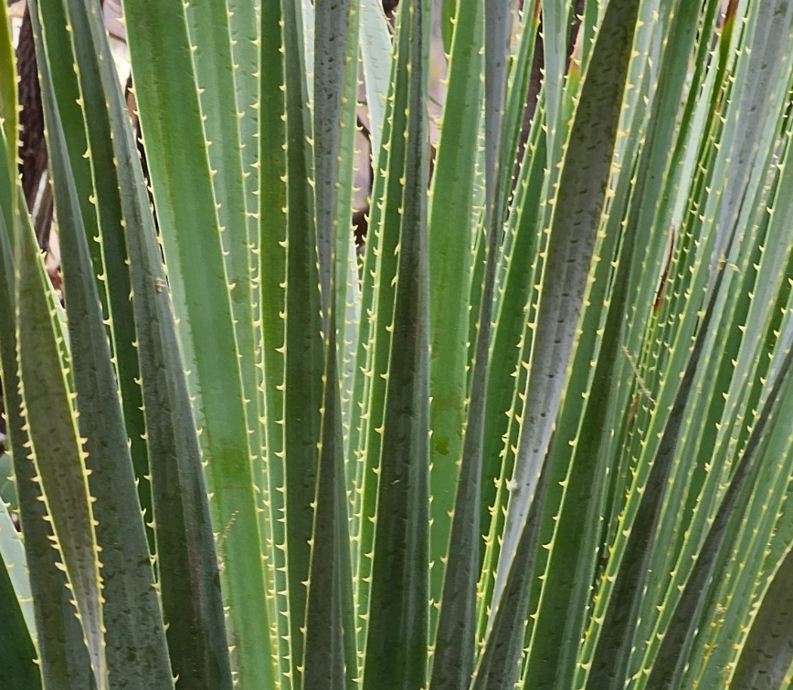 The Ultimate Blind Company About us