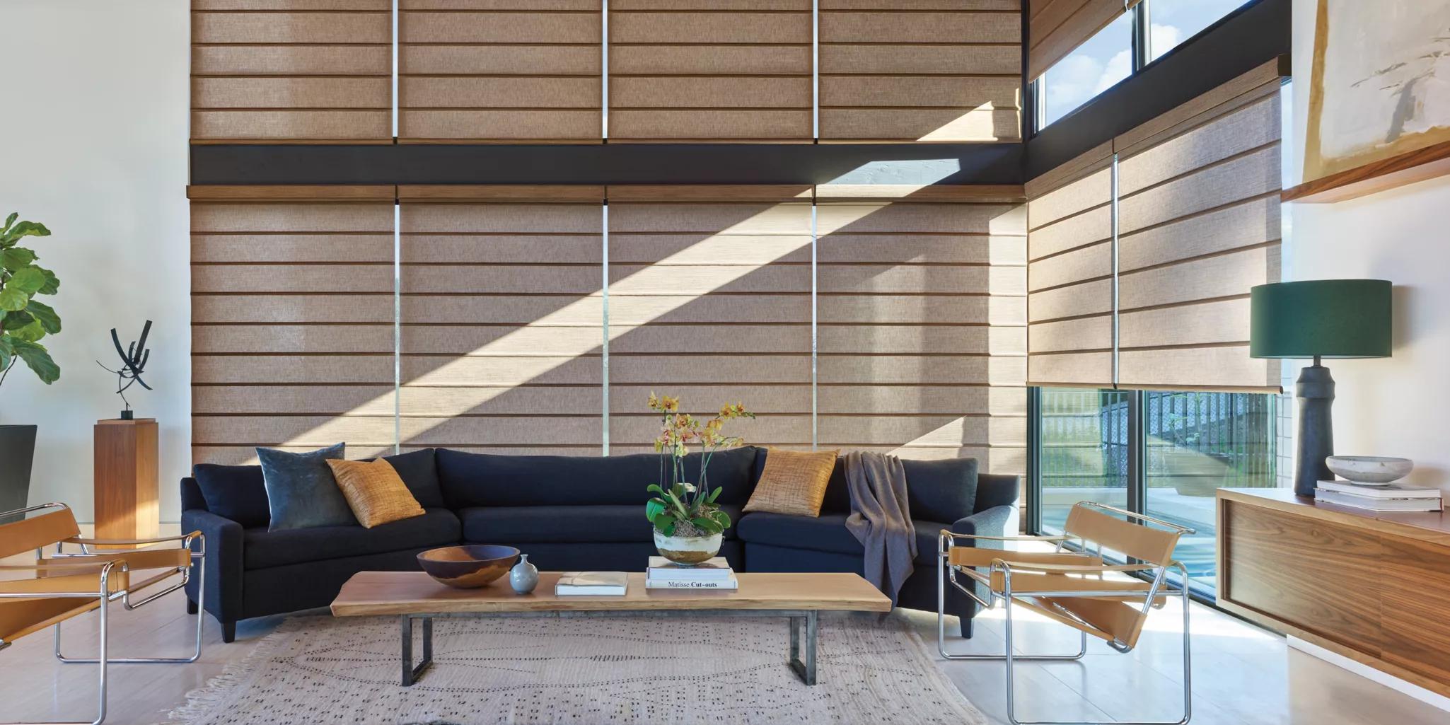 Alustra Architectural Roller Shades Leo