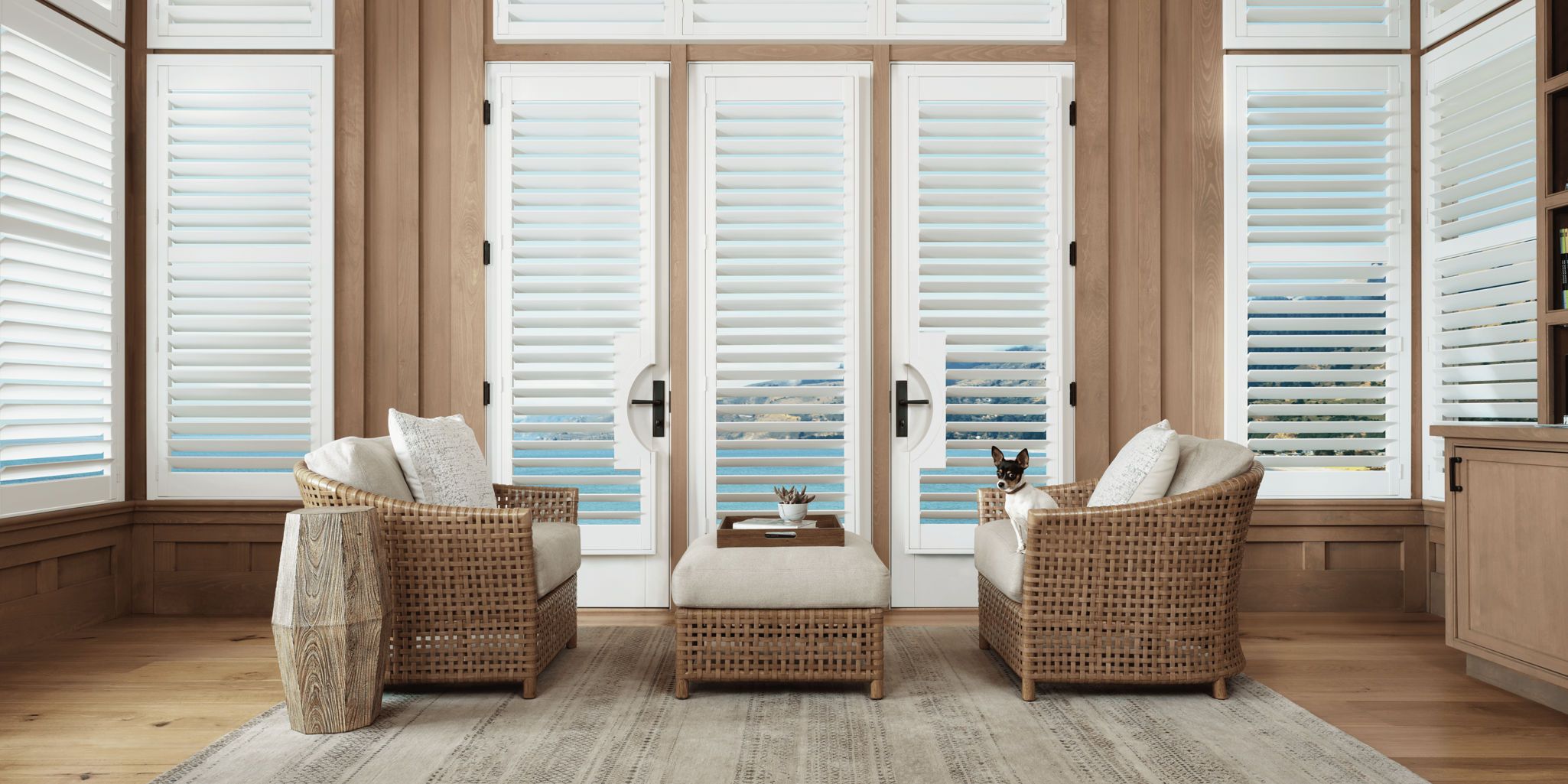 photo: palm-beach-polysatin-bright-white-46648394-sign-3:horizontal-lg
