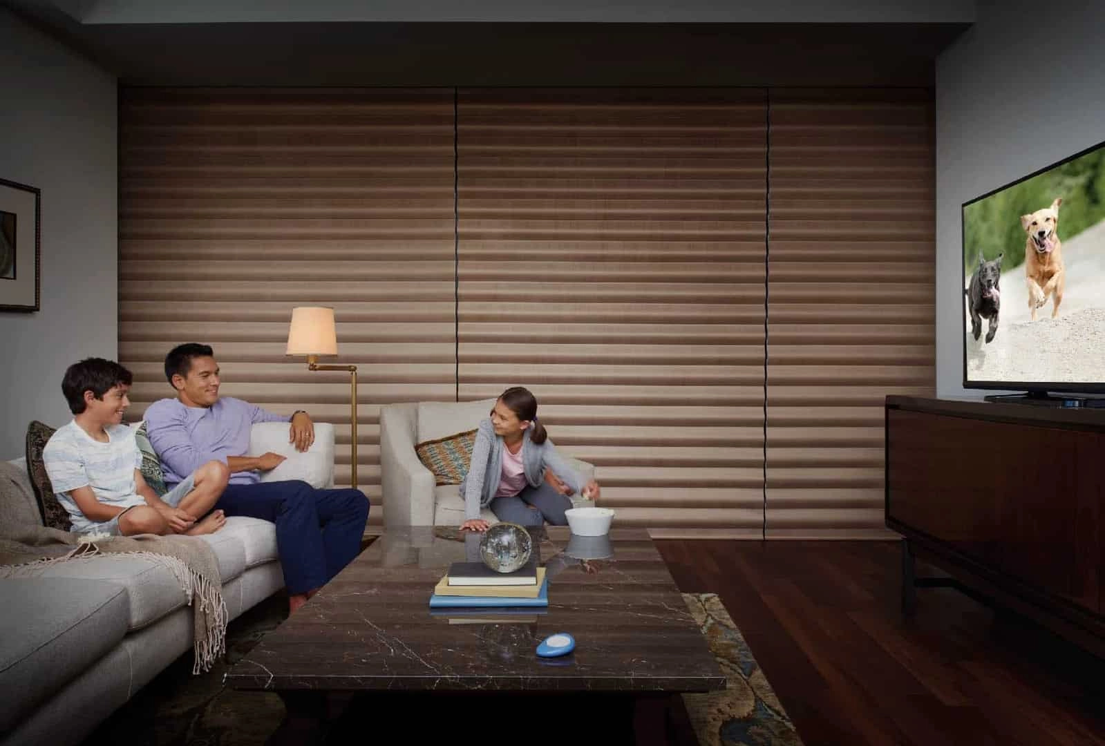 photo: 10027649-banner-custom-hunter-douglas-blackout-shades-for-homes.jpg