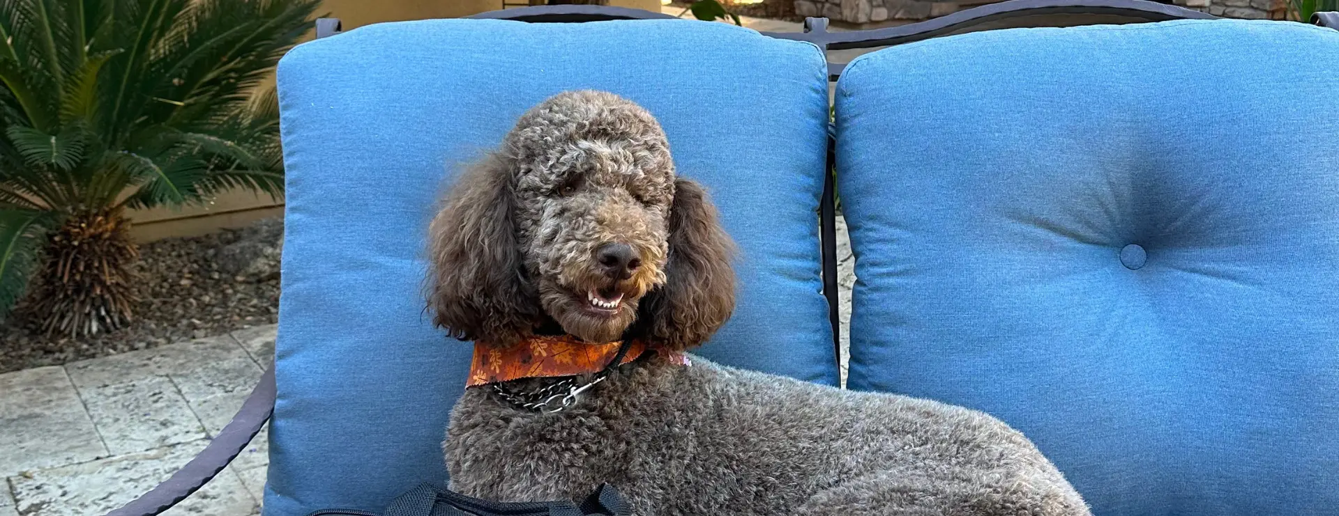 Arizona Blind & Supply Hero Image