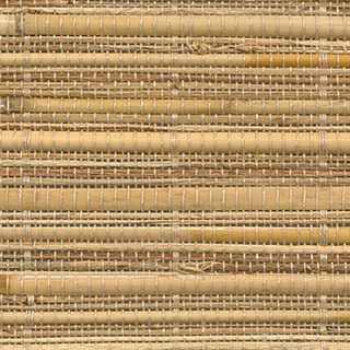 Bamboo Forest