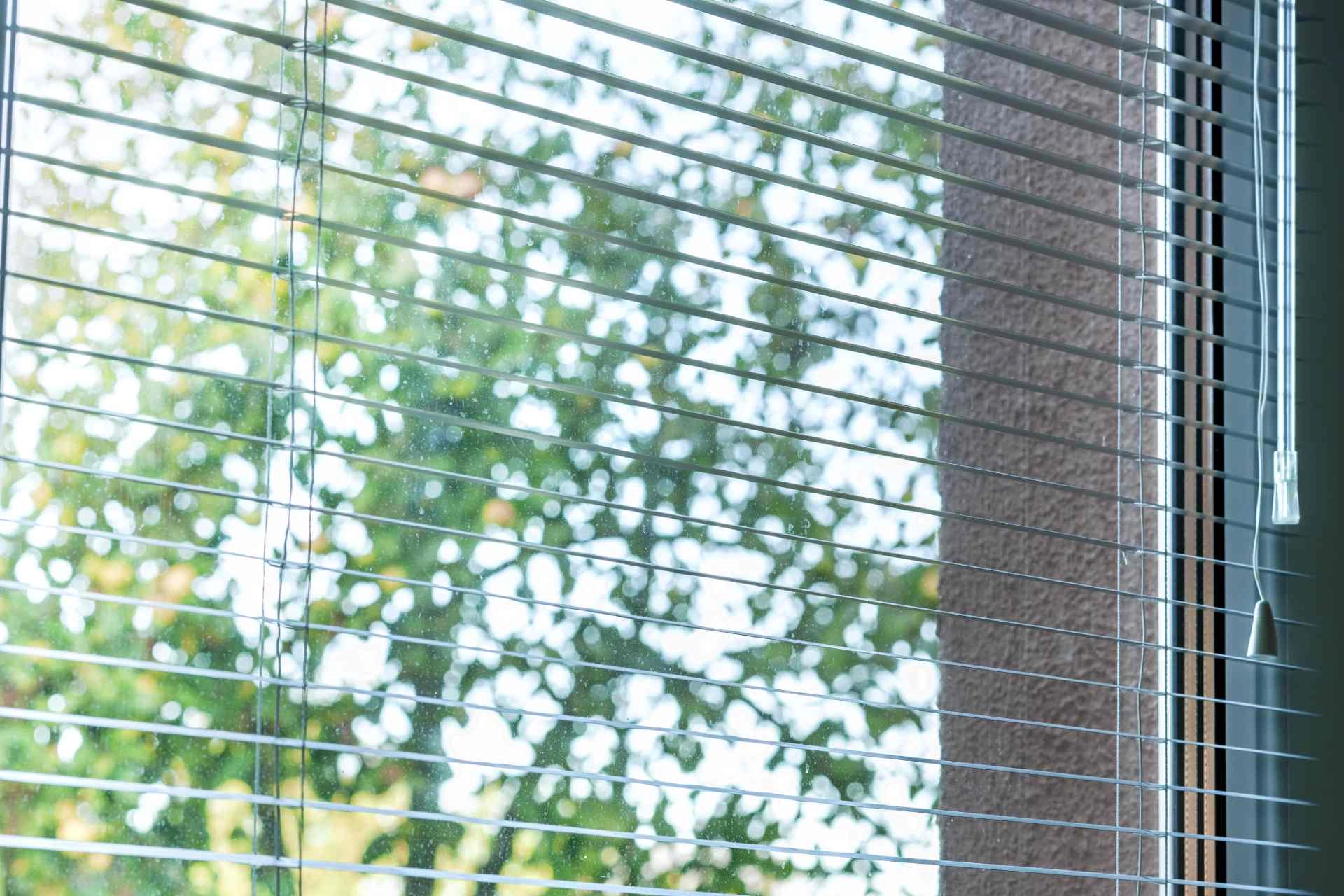 photo: 10038294-banner-bring-in-the-new-year-with-metal-window-blinds.jpg