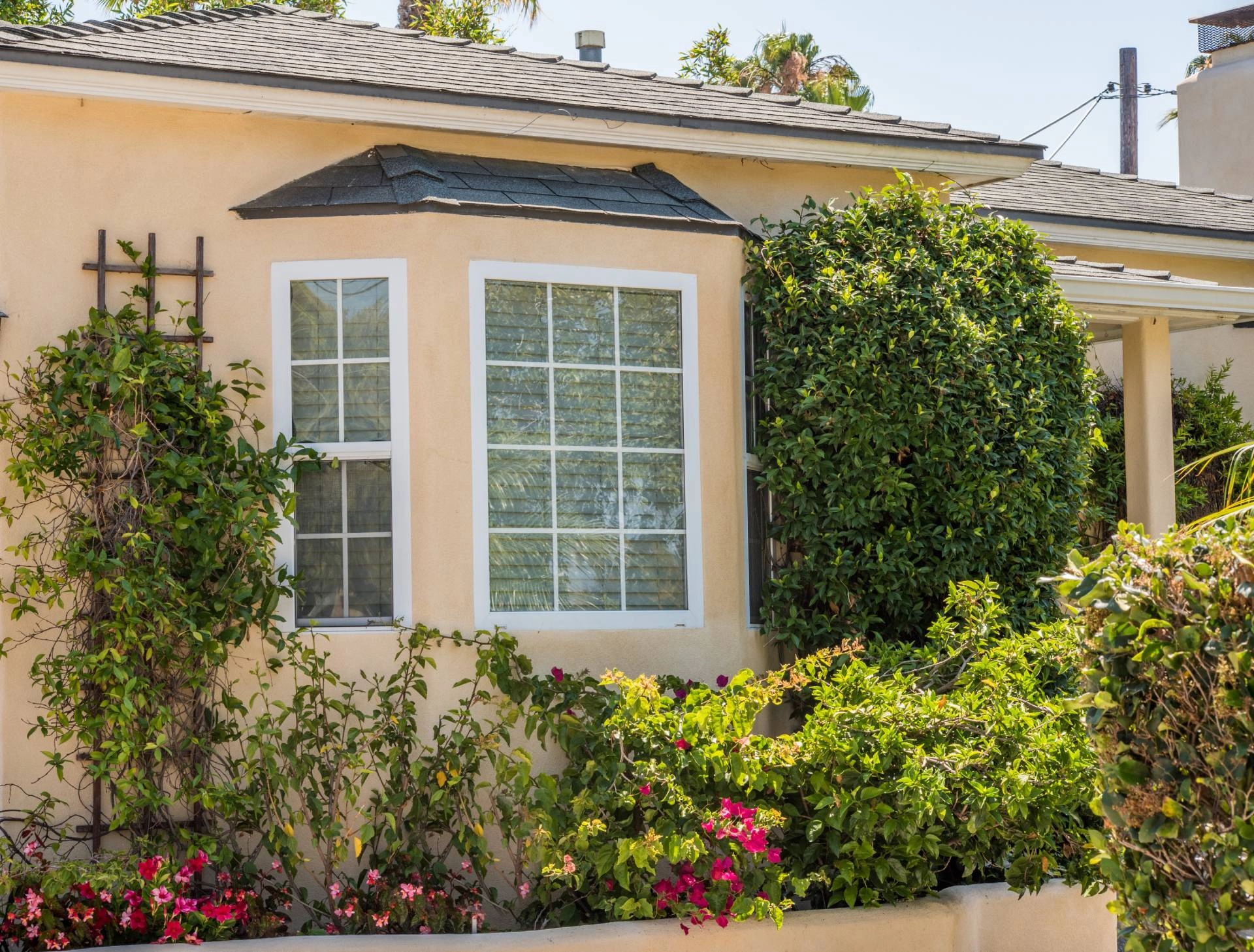 A bay window surrounded by shrubs with blinds on the interior near Newhall, CA