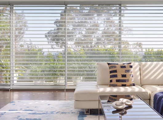 photo: Silhouette.png