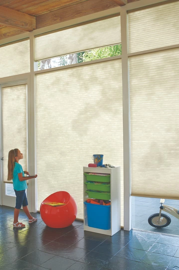 photo: 10040680-banner-light-filtering-window-treatments.jpg
