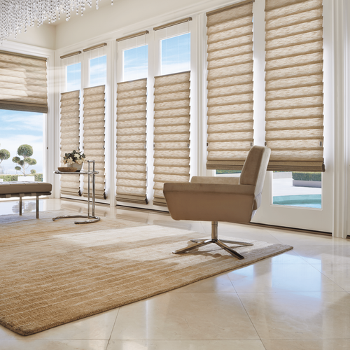 Top-Down/Bottom-Up Roman Shades for Windows