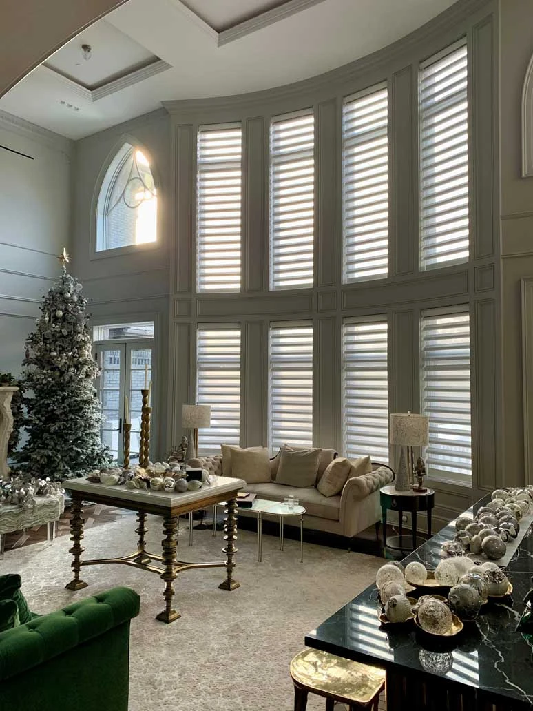V-Lonne Window Fashions Portfolio Image