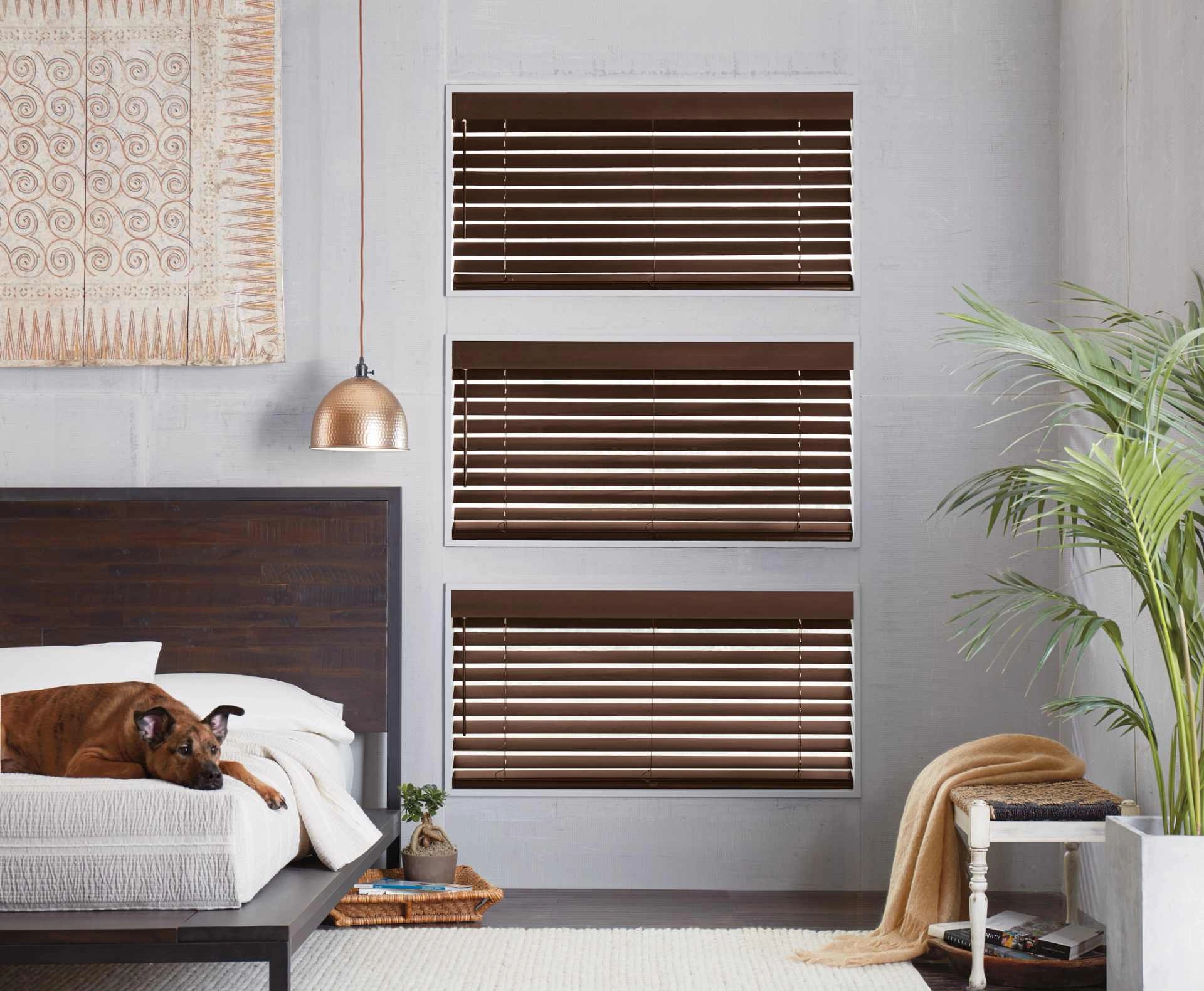 photo: 10024187-banner-modern-upgrades-to-classic-window-blinds.jpg