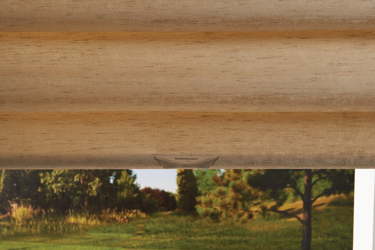 photo: 10027649-banner-create-your-ideal-contemporary-home-with-hunter-douglas-vignette-modern-roman-shades.jpg