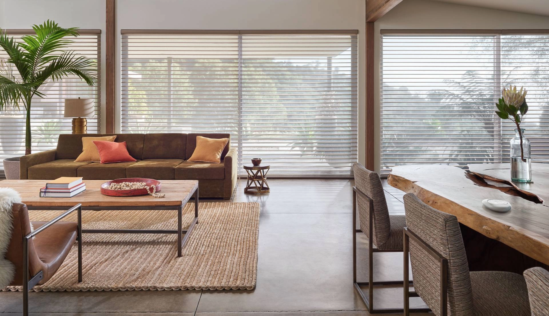 Hunter Douglas Silhouette® Sheer Shades in Costa Mesa, California