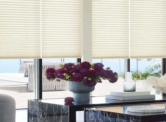 Duette Cellular Shades