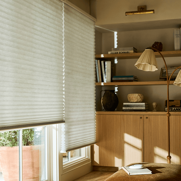 Duette shades in Living Room.