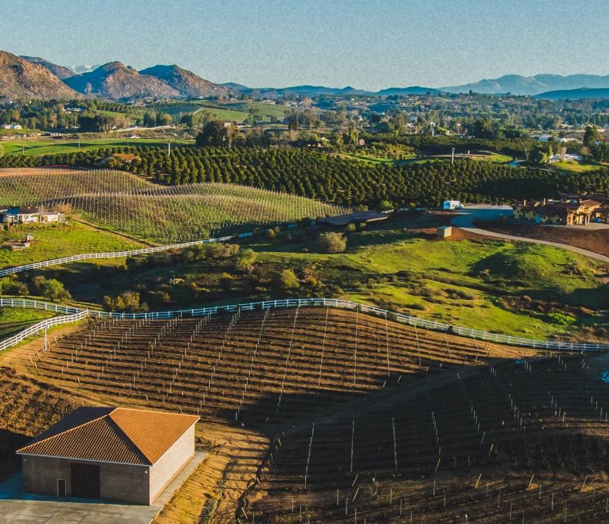 Landscape view of wine country near Temecula, CA.