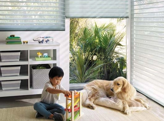 photo: Child_Pet_Nantucket.jpg