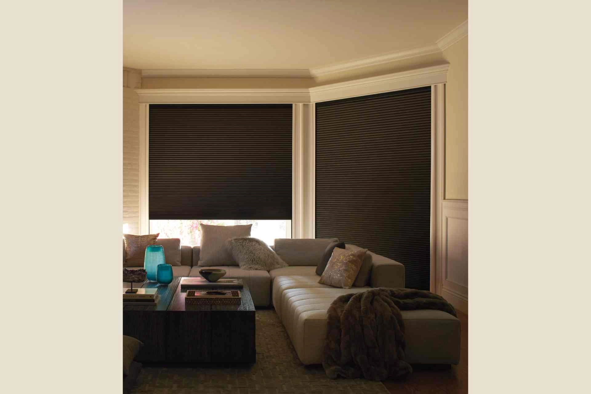photo: 10027382-banner-sleep-better-with-blackout-cellular-shades.jpg