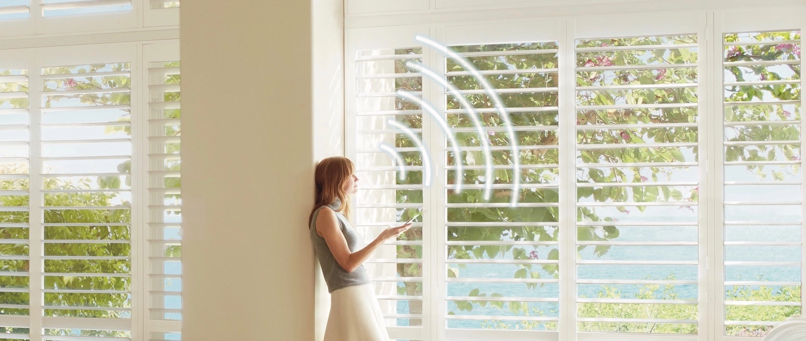 photo: window-covering-automation-top.jpg