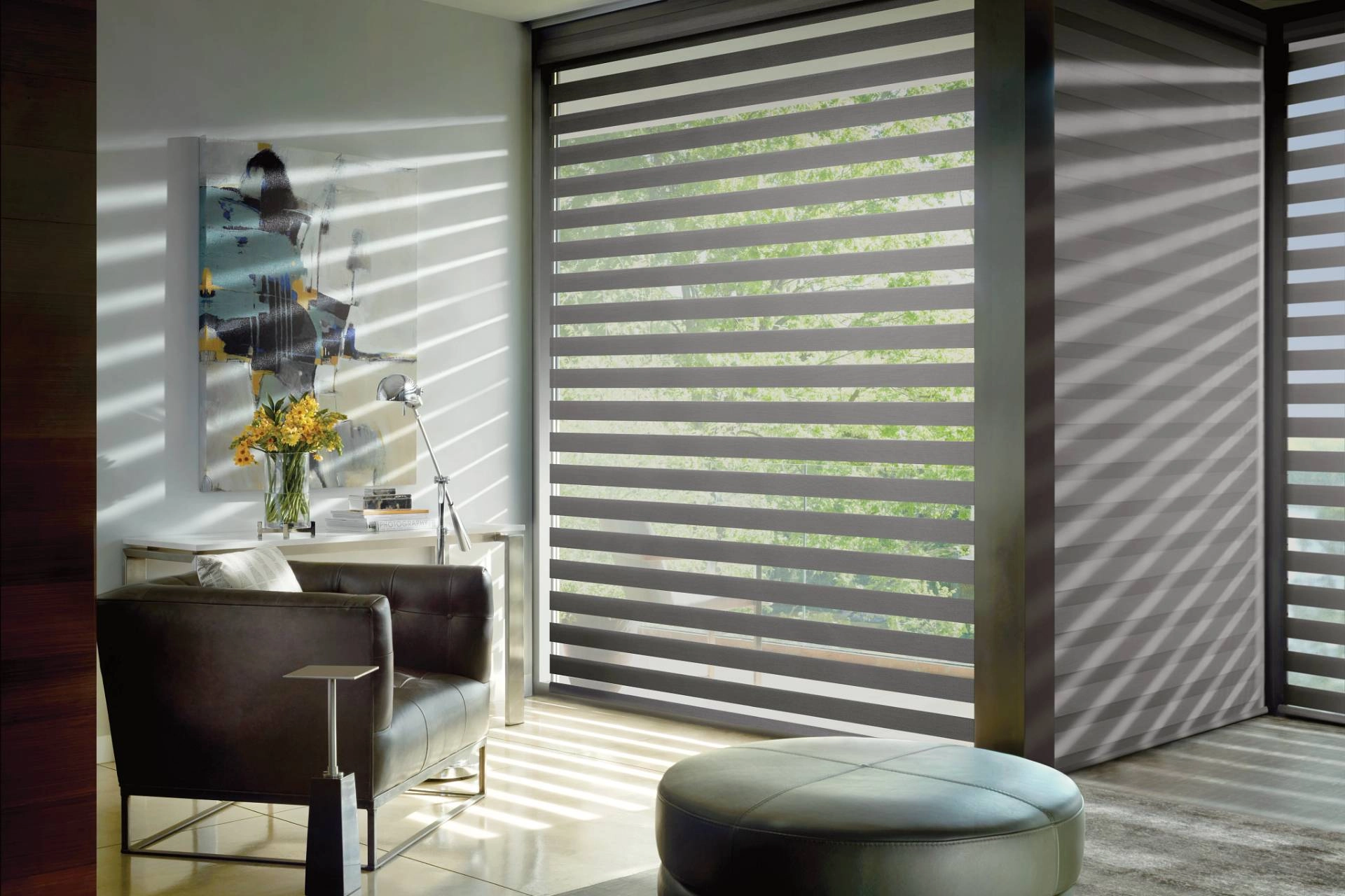 photo: 10181343-banner-what-are-banded-shades.jpg