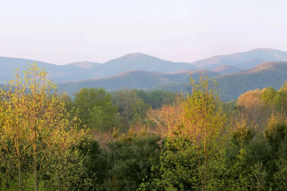 photo: 10180052-tile-washington-county-tn.jpg