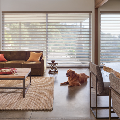 Large Window Treatments & Blinds