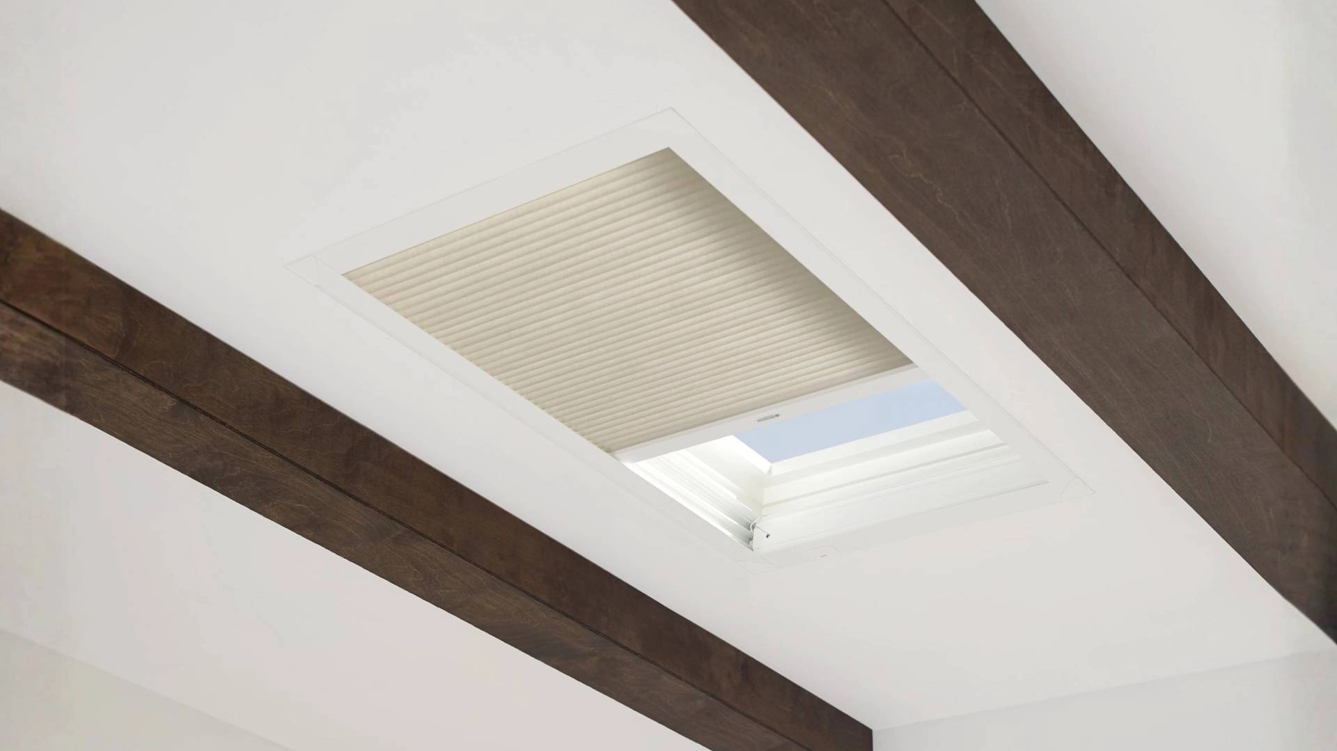 Hunter Douglas Duette® Cellular Shades as a type of window treatment for skylights near Dallas, TX