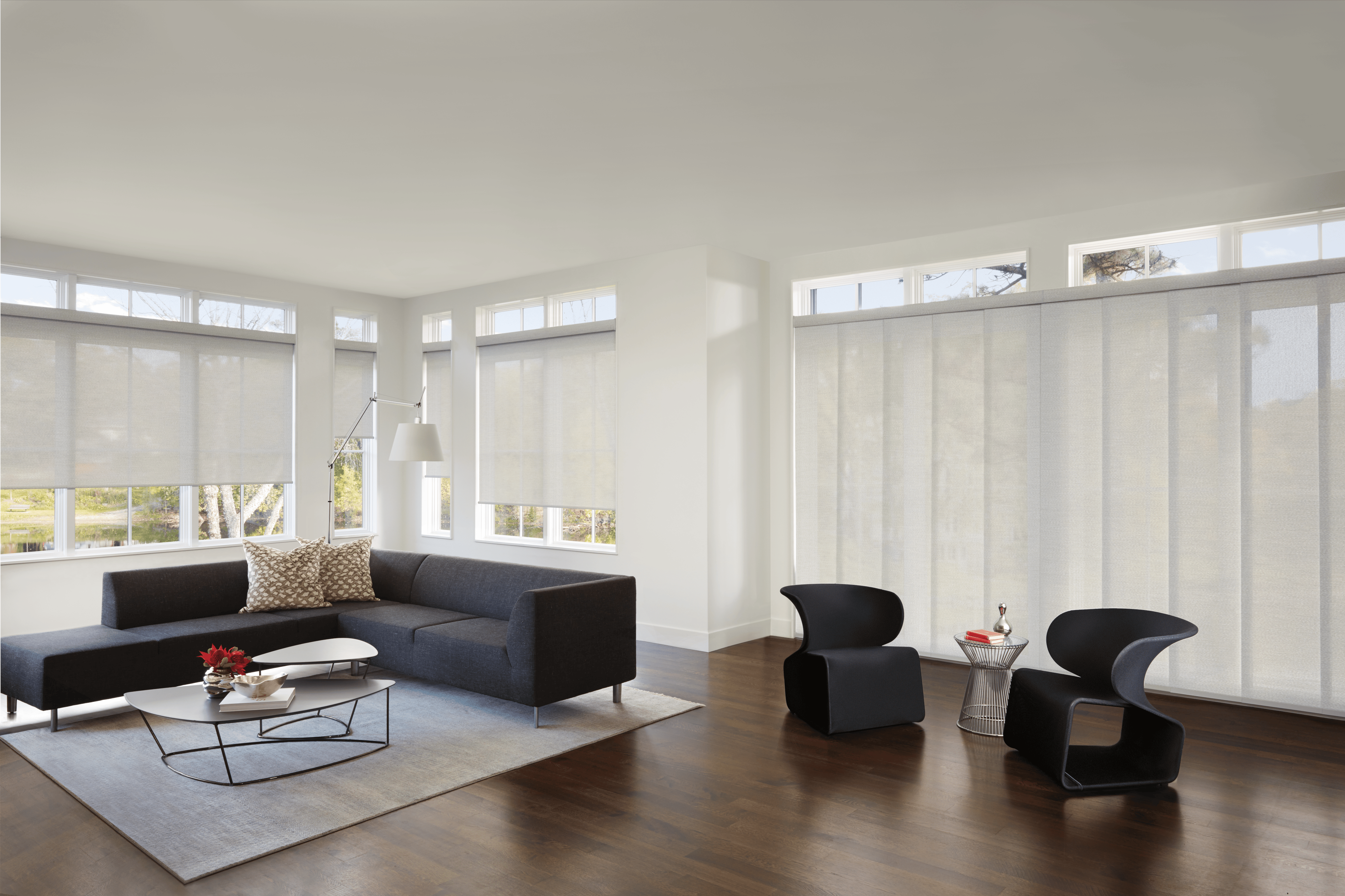 Living Room Blinds and Shades