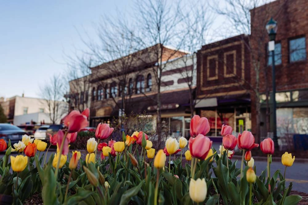 photo: 10027465-site-your-local-window-treatment-experts-in-hendersonville-nc.jpg