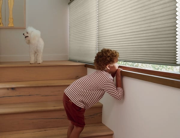 photo: 10041635-banner-energy-efficient-honeycomb-shades.jpg