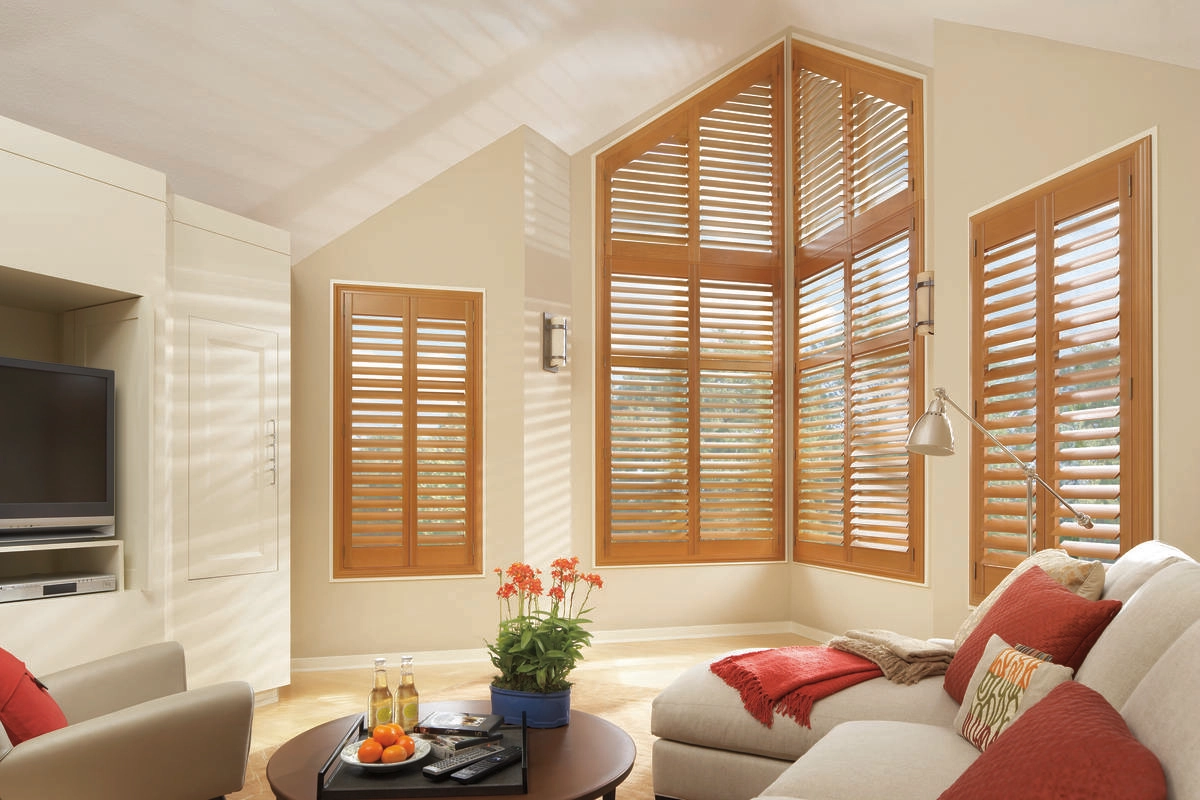 photo: 10062103-banner-window-treatments-for-sunny-rooms.jpg