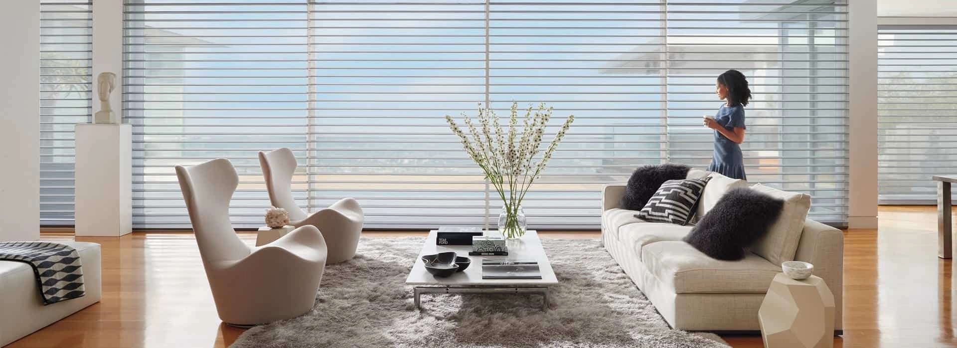 photo: 10036643-banner-three-benefits-of-silhouette-window-shadings.jpg
