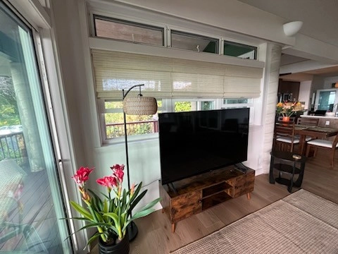 Window Trends LLC Portfolio Image