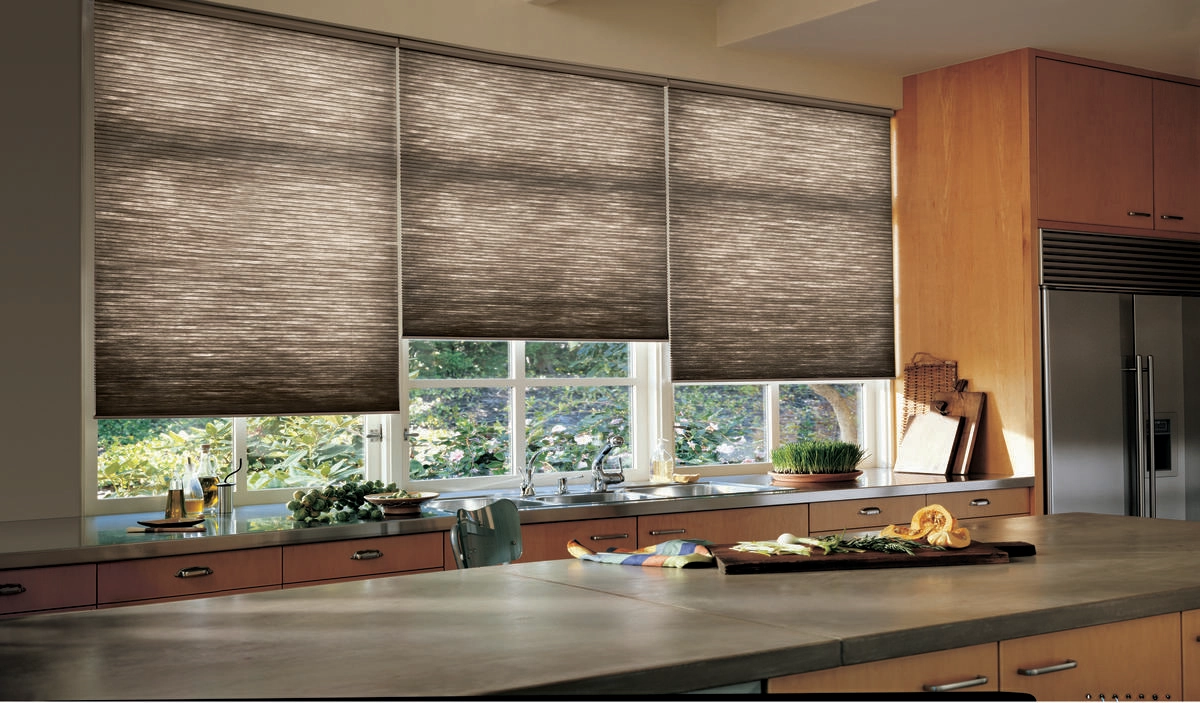 Hunter Douglas Honeycomb Shades for Homes near New Hyde Park, New York (NY) like for Kitchens