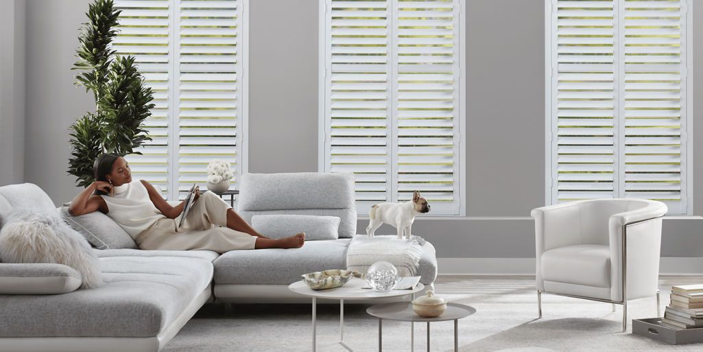 Hunter Douglas NewStyle Hybrid Shutters