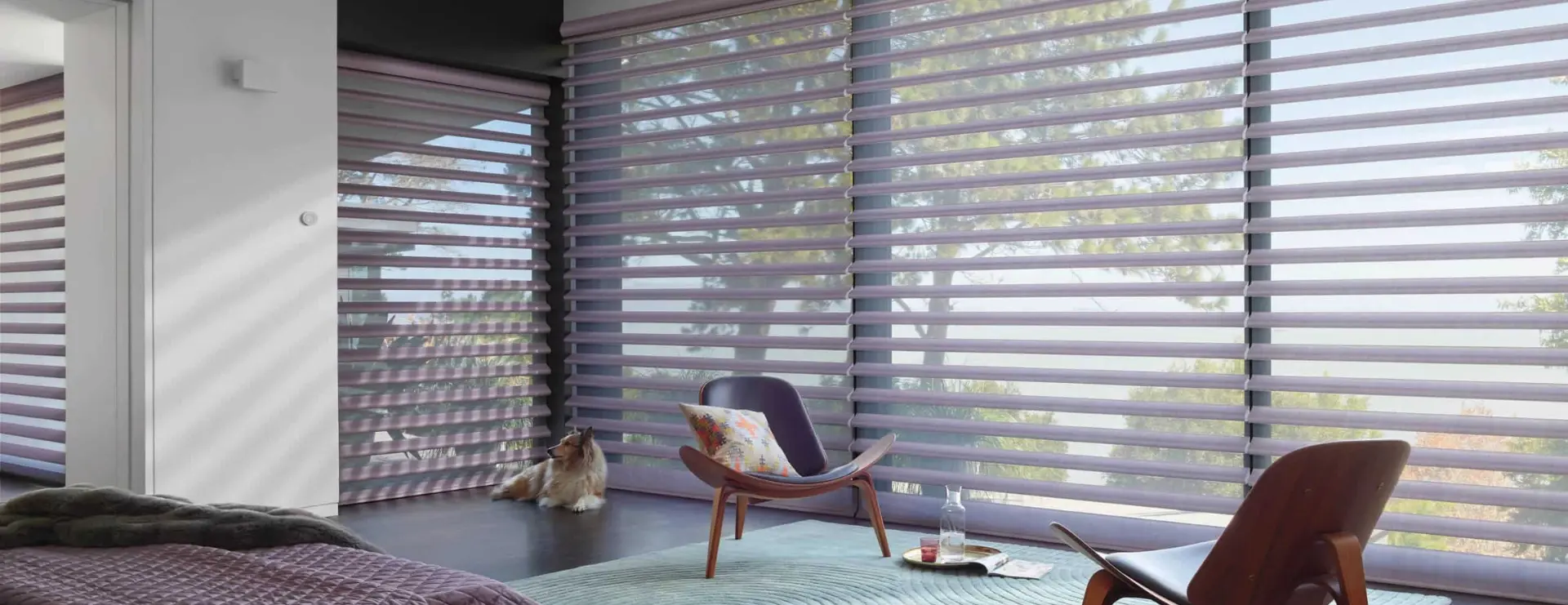 Lindsey Blinds Etc Hero image