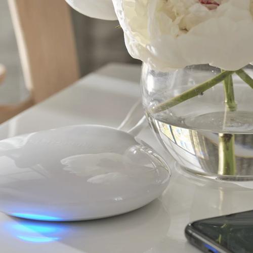 Design Studio with Rebecca Atwood