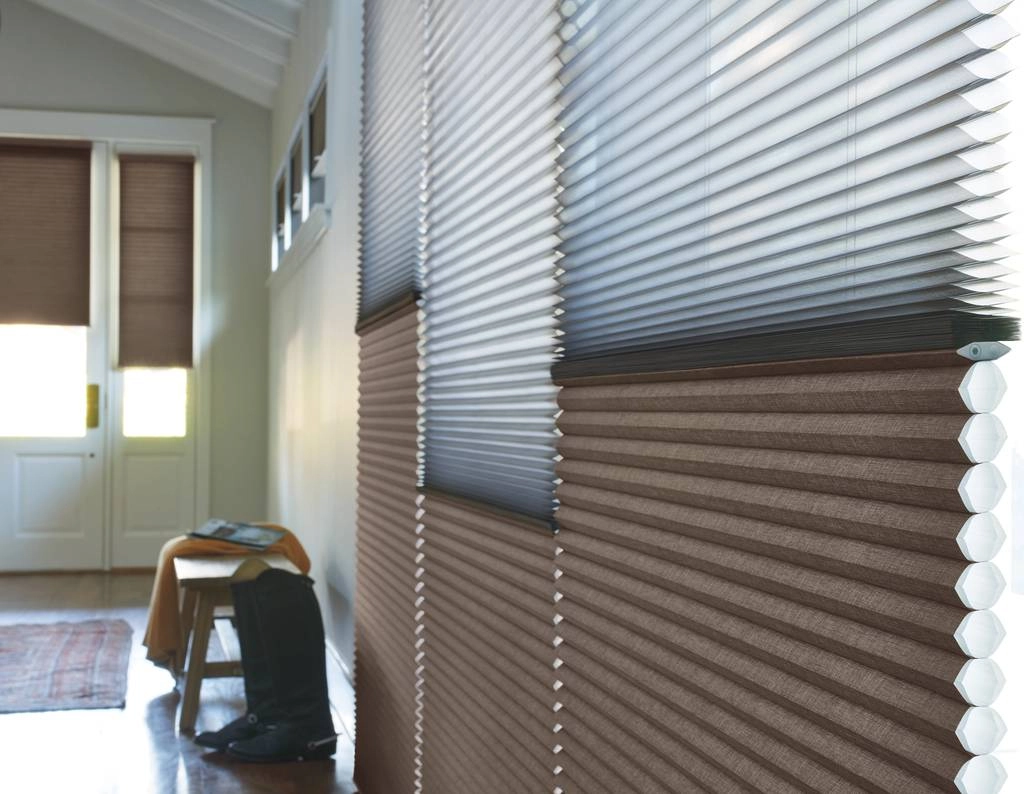 photo: 10180052-banner-creative-solutions-for-sidelight-window-shades.jpg