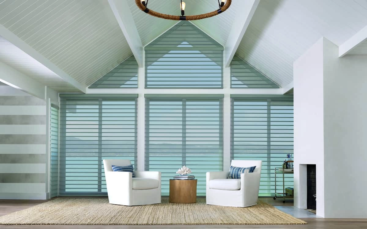 photo: 10042455-banner-transform-the-lighting-in-your-home-with-sheers-and-shadings.jpg