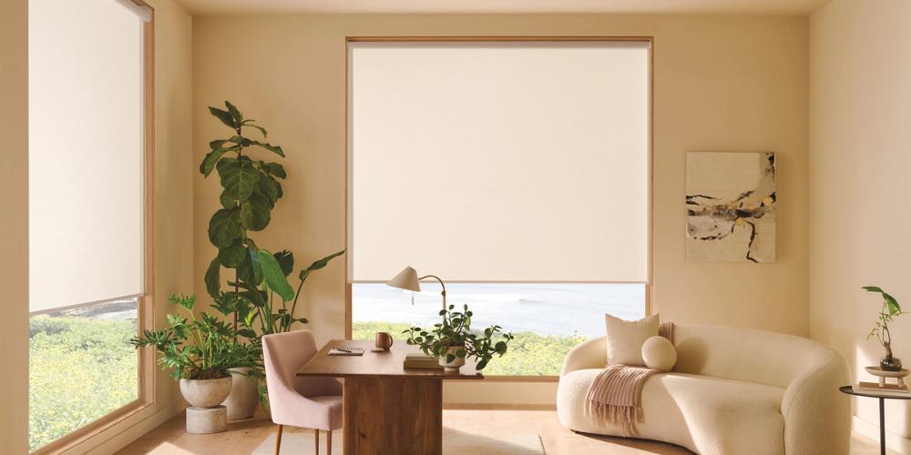 Designer Roller Shades fabric Ginseng in color Sisal