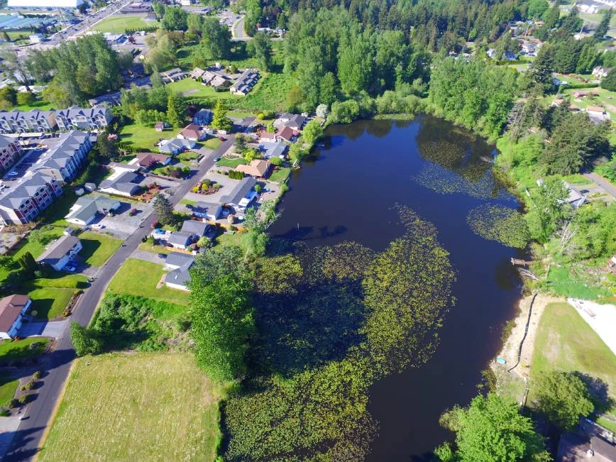 An aerial image of a lake and suburbs in Federal Way, WA, near Generva's Interiors