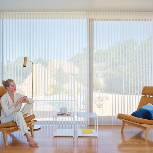 Picture Window Blinds and Shades